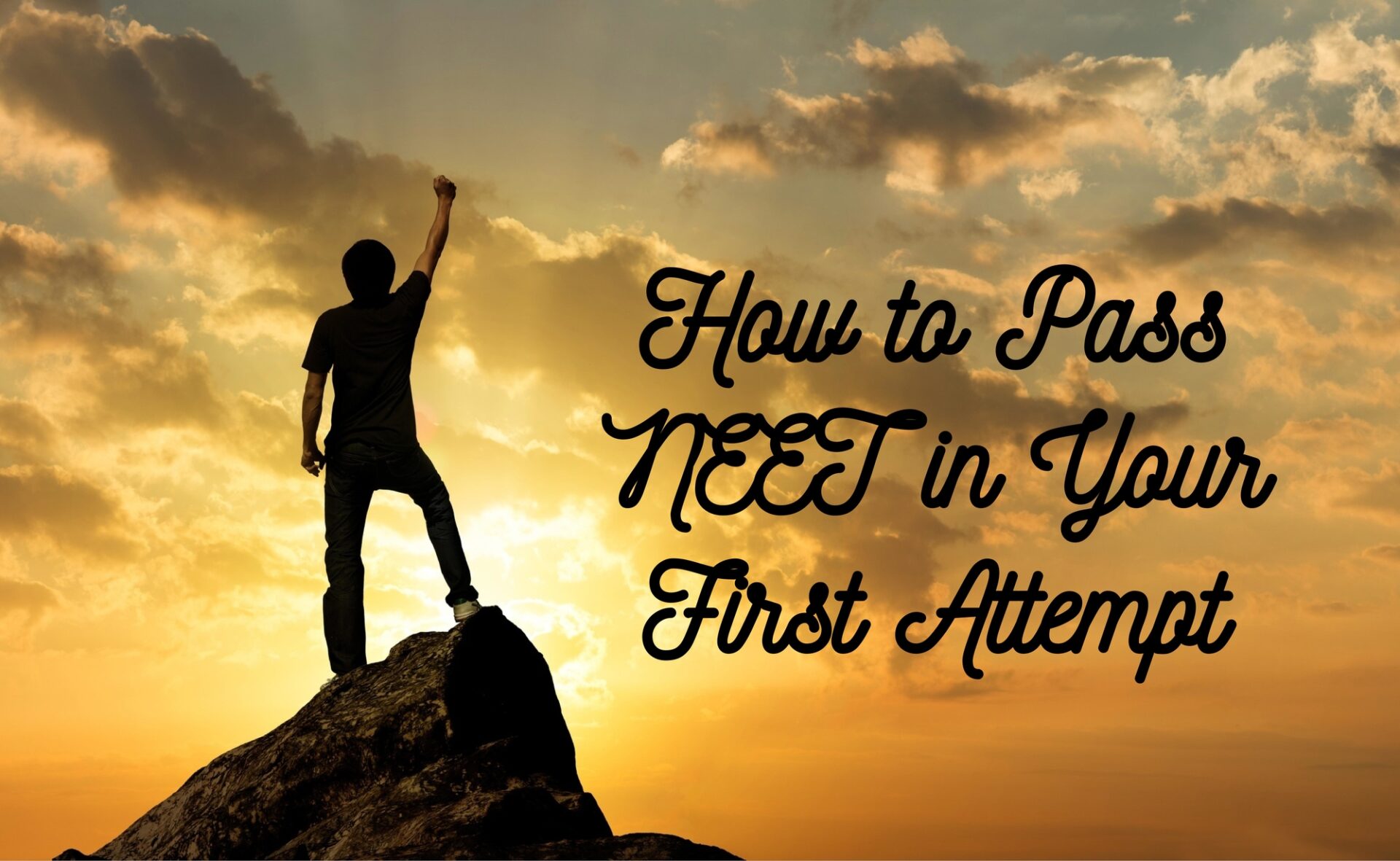 How to Pass NEET in Your First Attempt